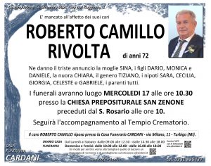 Scopri di più sull'articolo Roberto Camillo Rivolta