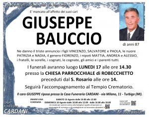 Scopri di più sull'articolo Giuseppe Bauccio